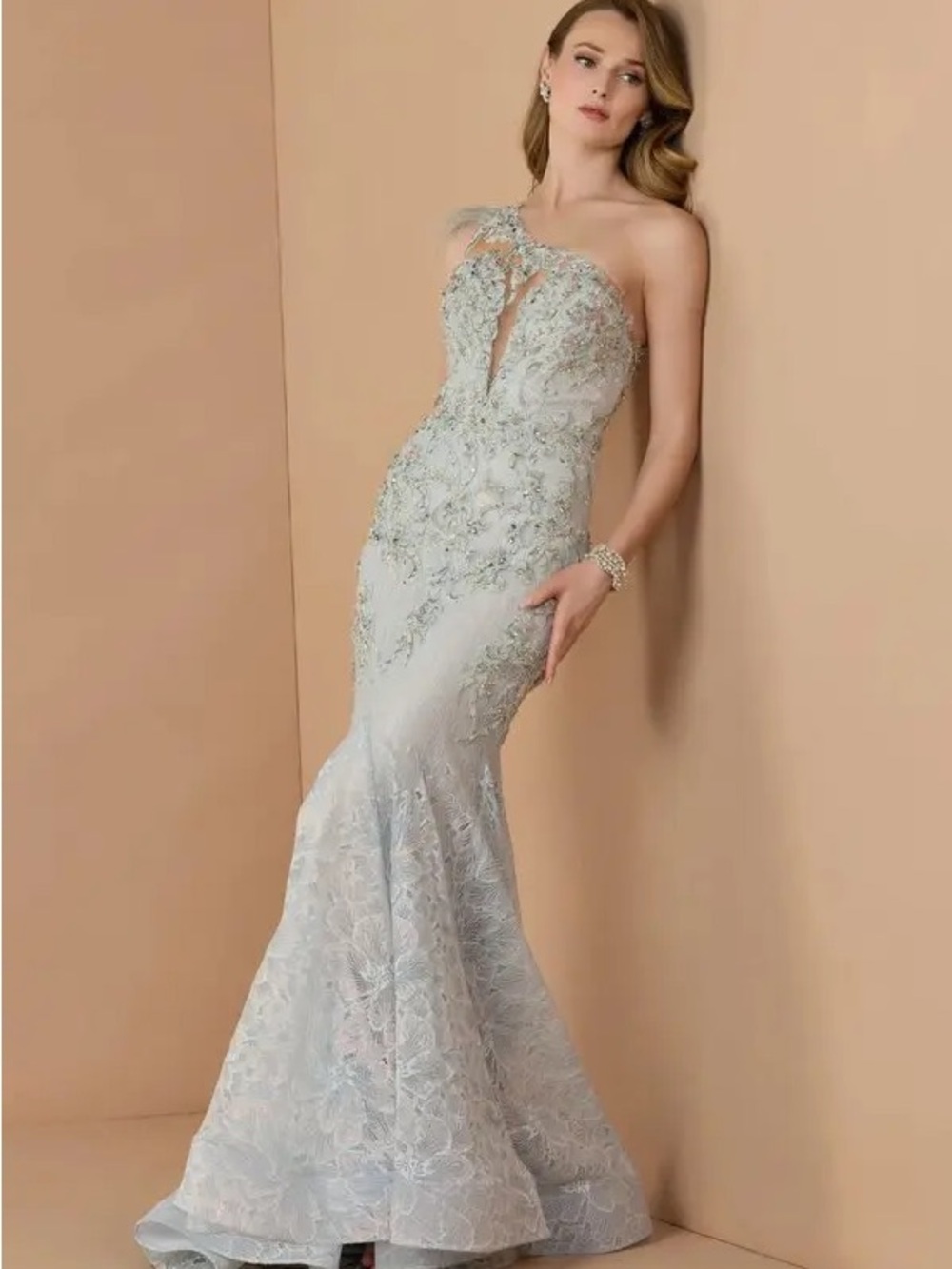 MAC DUGGAL COLLECTION Embellished Lace One Shoulder Gown With Feather Detai